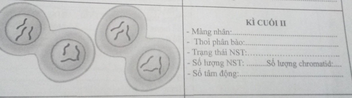 kì cuói I 
- Màng nhân:_ 
- Thoi phân bào:_ 
- Trạng thái NST:_ 
- Số lượng NST: _Số lượng chromatid:_ 
- Số tâm động:_