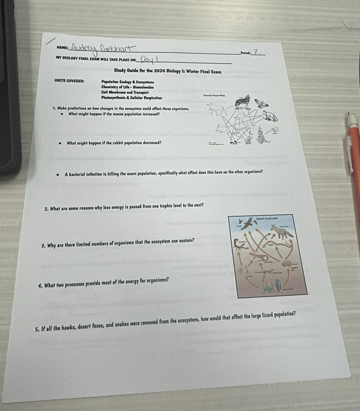 NAME:
Perled:_
_
MY BIOLOGY FINAL EXAM WILL TAKE PLACE ON:
Study Guide for the 2024 Biology I: Winter Final Exam
UNITS COVERED: Population Ecology & Ecosystems
Chemistry of Life - Biemolecules
Cell Membrane and Transport
Photosynthesis & Cellular Respiration
1. Make predictions on how changes in the ecosystem could affect these organisms.
What might happen if the mouse population increased?
. What might happen if the rabbit population decreased?
A bacterial infection is killing the acorn population, specifically what effect does this have on the other organisms?
2. What are some reasons why less energy is passed from one trophic level to the next?
3. Why are there limited numbers of organisms that the ecosystem can sustain?
4. What two processes provide most of the energy for organisms?
5. If all the hawks, desert foxes, and snakes were removed from the ecosystem, how would that affect the large lizard population?