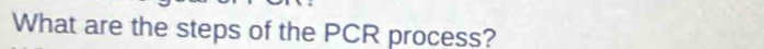 What are the steps of the PCR process?