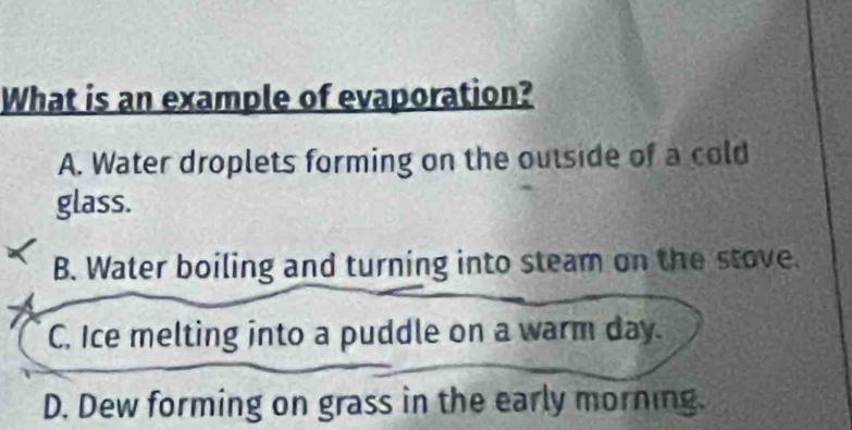 What is an example of evaporation?
A. Water droplets forming on the outside of a cold
glass.
B. Water boiling and turning into steam on the stove.
C. Ice melting into a puddle on a warm day.
D. Dew forming on grass in the early morning.