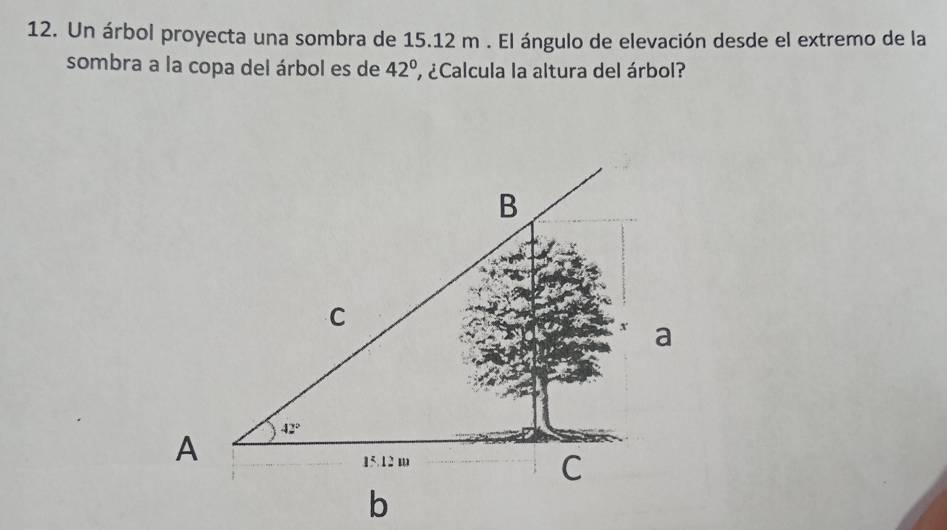 Un árbol proyecta una sombra de 15.12 m . El ángulo de elevación desde el extremo de la
sombra a la copa del árbol es de 42° , ¿Calcula la altura del árbol?