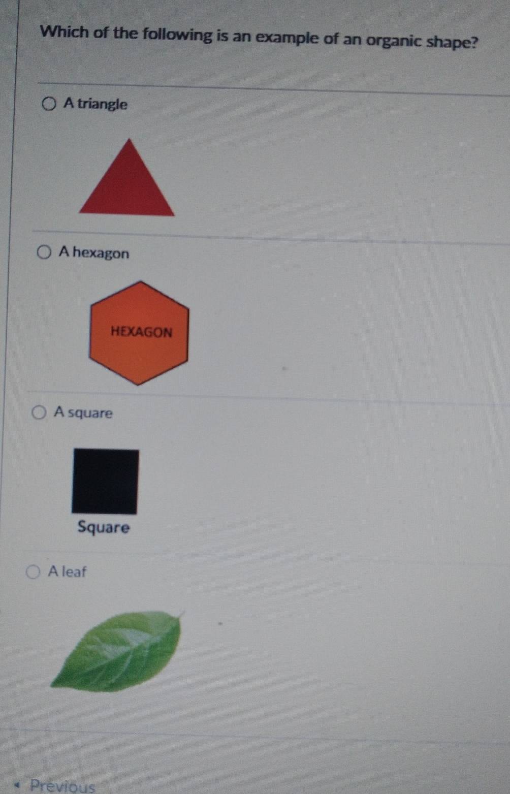 Solved: Which of the following is an example of an organic shape? A ...