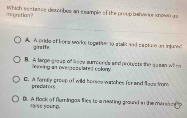 Solved: Which sentence describes an example of the group behavior known ...