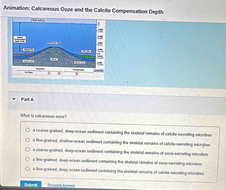 Animation: Calcareous Ooze and the Calcite Compensation Depth
Part A
What is calcareous ooze?
a coarse-grained, deep-ocean sediment containing the skeletal remains of calcite-secreting microbes
a fine-grained, shallow-ocean sediment containing the skeletal remains of calcite-secreting microbes
a coarse-grained, deep-ocean sediment containing the skeletal remains of ooze-secreting microbes
a fine-grained, deep-ocean sediment containing the skeletal remains of ooze-secreting microbes
a fine-grained, deep ocean sediment containing the skeletal remains of calcite-secreting microbes
Submit Request Answer