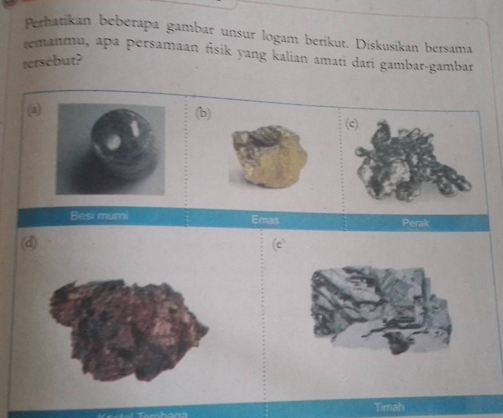 Perhatikan beberapa gambar unsur logam berikut. Diskusikan bersama 
temanmu, apa persamaan fisik yang kalian amati dari gambar-gambar 
tersébut? 
(2)(b) 
Besi mumi Emas 
Perak 
(d) 
Timah