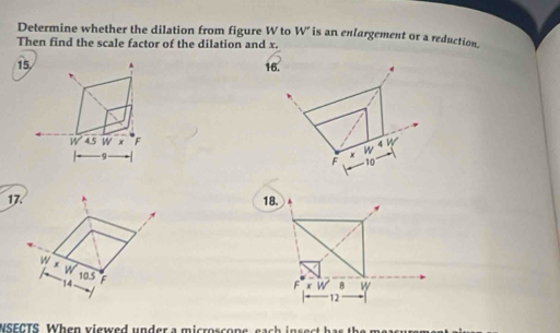 Determine whether the dilation from figure W to W' is an enlargement or a reduction. 
Then find the scale factor of the dilation and x.
15.
W 4.5 W x F
9
NSECTS. When viewed under a microscone, each insect has the mearu