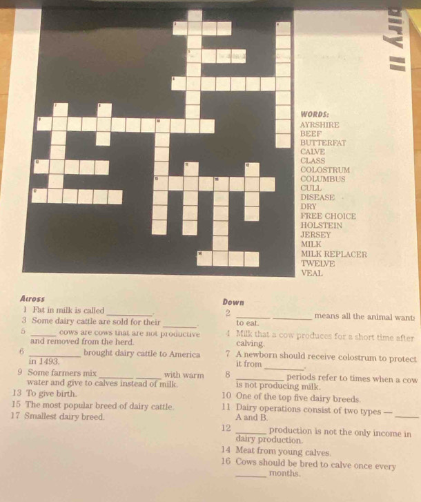 Fat in milk is called _2 __means all the animal want: 
3 Some dairy cattle are sold for their _. to eat. 
5 _cows are cows that are not productive 4 Milk that a cow produces for a short time after 
and removed from the herd. calving. 
6 _brought dairy cattle to America 7 A newborn should receive colostrum to protect 
in 1493. it from _. 
9 Some farmers mix_ _with warm 8 _periods refer to times when a cow 
water and give to calves instead of milk. is not producing milk. 
13 To give birth. 10 One of the top five dairy breeds 
15 The most popular breed of dairy cattle 11 Dairy operations consist of two types — 
17 Smallest dairy breed. A and B. 
_ 
12 _production is not the only income in 
dairy production. 
14 Meat from young calves. 
16 Cows should be bred to calve once every 
_months.