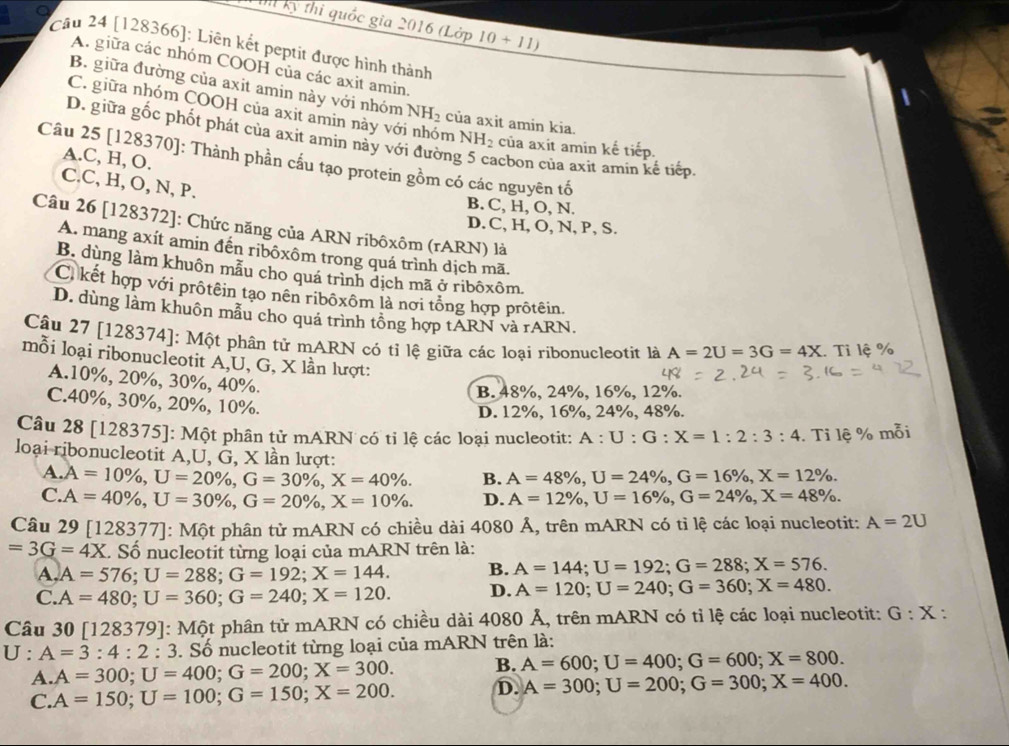 kỳ thi quốc gia 2016 (Lớp 10+11)
Cầu 24 [128366]: Liên kết peptit được hình thành
A. giữa các nhóm COOH của các axit amin.
B. giữa đường của axit amin này với nhóm NH_2 của axit amin kia.
C. giữa nhóm COOH của axit amin này với nhóm NH_2 của axit amin kế tiếp.
D. giữa gốc phốt phát của axit amin này với đườn: acbon của axit amin kế tiếp.
A.C, H, O.
Câu 25 [128370]: Thành phần cầu tạo protein gồm có các nguyên tố
C.C, H, O, N, P.
B. C, H, O, N.
Câu 26 [128372]: Chức năng của ARN ribôxôm (rARN) là
D. C, H, O, N, P, S.
A. mang axít amin đến ribôxôm trong quá trình dịch mã.
B. dùng làm khuôn mẫu cho quá trình dịch mã ở ribôxôm.
C kết hợp với prôtêin tạo nên ribôxôm là nơi tổng hợp prôtêin.
D. dùng làm khuôn mẫu cho quá trình tổng hợp tARN và rARN.
Câu 27 [128374]: Một phân tử mARN có tỉ lệ giữa các loại ribonucleotit là A=2U=3G=4X. Tỉ lệ %
mỗi loại ribonucleotit A,U, G, X lần lượt:
A.10%, 20%, 30%, 40%.
B. 48%, 24%, 16%, 12%.
C.40%, 30%, 20%, 10%.
D. 12%, 16%, 24%, 48%.
Câu 28 [128375]: Một phân tử mARN có tỉ lệ các loại nucleotit: A:U:G:X=1:2:3:4. Tỉ lệ % mỗi
loại ribonucleotit A,U, G, X lần lượt:
A. A=10% ,U=20% ,G=30% ,X=40% . B. A=48% ,U=24% ,G=16% ,X=12% .
C.. A=40% ,U=30% ,G=20% ,X=10% . D. A=12% ,U=16% ,G=24% ,X=48% .
Câu 29 [128377]: Một phân tử mARN có chiều dài 4080 Ả, trên mARN có tỉ lệ các loại nucleotit: A=2U
=3G=4X.  Số nucleotit từng loại của mARN trên là:
A, A=576;U=288;G=192;X=144. B. A=144;U=192;G=288;X=576.
C. A=480;U=360;G=240;X=120. D. A=120;U=240;G=360;X=480.
Câu 30 [128379]: Một phân tử mARN có chiều dài 4080 Ả, trên mARN có tỉ lệ các loại nucleotit: G:X
U:A=3:4:2:3 S. Số nucleotit từng loại của mARN trên là:
A. A=300;U=400;G=200;X=300. B. A=600;U=400;G=600;X=800.
C. A=150;U=100;G=150;X=200. D. A=300;U=200;G=300;X=400.