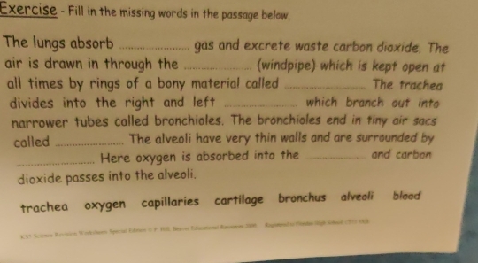 Exercise - Fill in the missing words in the passage below. 
The lungs absorb _gas and excrete waste carbon dioxide. The 
air is drawn in through the _(windpipe) which is kept open at 
all times by rings of a bony material called _The trachea 
divides into the right and left _which branch out into 
narrower tubes called bronchioles. The bronchioles end in tiny air sacs 
called _The alveoli have very thin walls and are surrounded by 
_Here oxygen is absorbed into the _and carbon 
dioxide passes into the alveoli. 
trachea oxygen capillaries cartilage bronchus alveoli blood 
& CT Goancy Rrcisión Workshante Special Efrion ( P. TUE Besser Extaumional Epwsgeow ) Eopered to finde Sigh Schl (77) 03