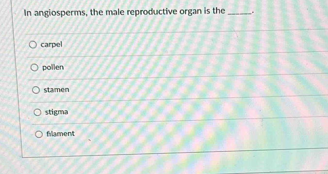 In angiosperms, the male reproductive organ is the _.
carpel
pollen
stamen
stigma
filament