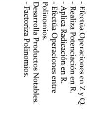 Efectúa Operaciones en Z y Q. 
- Realiza Potenciación en R. 
- Aplica Radicación en R. 
- Efectúa Operaciones entre 
Polinomios. 
Desarrolla Productos Notables. 
- Factoriza Polinomios.
