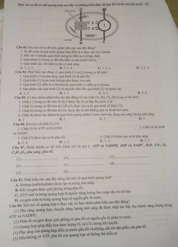 Dựa vào sơ đồ cơ chế quang hợp sau đây và những kiến thức đã học đễ trã lời câu hỏi từ 83-87.
Câu 83. Khi nói ve sơ đồ trên, phát biểu nào sau đây đúng?
1. Sơ đỗ miều tả quá trình quang hợp diễn ra ở thực vật và vi khuẩn.
2. Đối với vi khuẩn quá trình tương tự diễn ra ở tế bào chất
3. Quá trình (1) trong sơ đồ trên diễn ra chu trình Calvin.
4. Quá trình này chỉ diễn ra khi có ánh sáng
A. 1, 2, 3. B. 2, 3, 4. C. 1, 3,4. D. 1, 2, 4.
Câu 84. Phát biểu nào đùng về quá trình (1) và (2) trong sơ đồ trên?
1. Quả trình (1) là pha sáng, quả trình (2) là pha tổi.
2. Quá trình (1) hoàn toàn không phụ thuộc vào ánh,
3. Quá trình (2) diễn ra ở thylakoid, quả trình (1) diễn ra ở stroma.
4. Sản phẩm của quả trình (2) là nguyên liệu cho quả trình (1) và ngưọc lại.
A. 1, 2 B. 1, 3 C. 2, 3 D. 3, 4
Câu 85, Có bao nhiêu phát biểu sau đây đùng về các chất (5), (6), (7), (8) trong sơ đồ trên?
1. Chất (7) trong sơ đồ trên là H_2O được lầy từ sự hấp thụ nước ở rễ
2. Chất (5) trong sơ đồ trên là C_6H_12O_6 được tạo ra từ quả trình cổ định CO_2.
3. Chất (6) trong sơ đổ trên là CO_2 được lấy từ khí khổng qua sự thoát hơi nước.
4. Chất (8) được tạo thành từ quá trình quang phân li nước dưới tác dụng của năng lượng ánh sáng.
A. l B. 2 C. 3 D. 4
Câu 86, Khĩ nói về chất 3). (4)
1. Chất (3) là ATP và NADPH. 2. Chất (4) là ADP
và NADP'. 4. Chất (4) được tạo ra từ pha sáng.
3. Chất (3) được tạo ra từ pha tối.
A. 3, 4. B. 1, 2. C. 1, 3. D. 2, 3
Câu 87, Hoàn thành sơ đồ trên bằng các từ gợi ý: ATP và NADPH, ADP và NADP^+,H_2O,CO_2,O_2
C_6H_12O_6 pha sảng, pha tối.
(1) _(4)_ (7)_
(5).
(2)_ _(8)_
(3)_
(6)_
Câu 83. Phát biểu nào sau đây đúng khi nói về quá trình quang hợp?
A. Đường (carbohydrate) được tạo ra trong pha sáng
B. Khí oxygen được giải phỏng trong pha tối.
C. ATP sinh ra trong quang hợp là nguồn năng lượng lớn cung cấp cho tế bào.
D. oxygen sinh ra trong quang hợp có nguồn gồc từ nước.
Câu 84. Khi nói về quang hợp ở thực vật, có bao nhiêu phát biểu sau đây đùng?
(1) Pha sáng quang hợp chuyển năng lượng ánh sáng đã được diệp lục hấp thụ thành năng lượng trong
ATP và NADPH.
(2) Phân tử oxygen được giải phóng từ pha tối có nguồn gốc từ phân tử nước.
(3) Quang hợp giúp điều hòa hàm lượng O_2 vǎ CO_2 trong khí quyển.
(4) Pha sáng của quang hợp diễn ra trước pha tối và không cần tới sản phần của pha tối
(5) Nếu không có ATP, pha tối của quang hợp sẽ không thể diễn ra