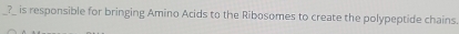 ?_ is responsible for bringing Amino Acids to the Ribosomes to create the polypeptide chains