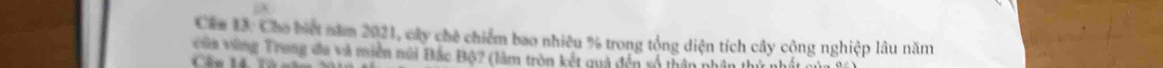 Cáa 13: Cho biết năm 2021, cây chế chiếm bao nhiêu % trong tổng diện tích cây cộng nghiệp lâu năm 
vên vùng Trung đu và miền núi Đắc Độ? (làm tròn kết quà đến số thân nh