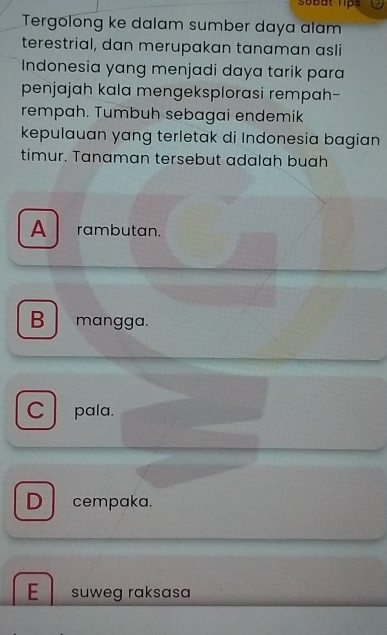 subat lips
Tergolong ke dalam sumber daya alam
terestrial, dan merupakan tanaman asli
Indonesia yang menjadi daya tarik para
penjajah kala mengeksplorasi rempah-
rempah. Tumbuh sebagai endemik
kepulauan yang terletak di Indonesia bagian
timur. Tanaman tersebut adalah buah
A rambutan.
B mangga.
C pala.
D cempaka.
E suweg raksasa