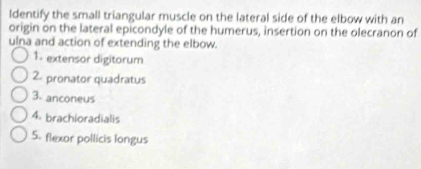 Identify the small triangular muscle on the lateral side of the elbow with an 
origin on the lateral epicondyle of the humerus, insertion on the olecranon of 
ulna and action of extending the elbow. 
1. extensor digitorum 
2. pronator quadratus 
3. anconeus 
4. brachioradialis 
5. flexor pollicis longus