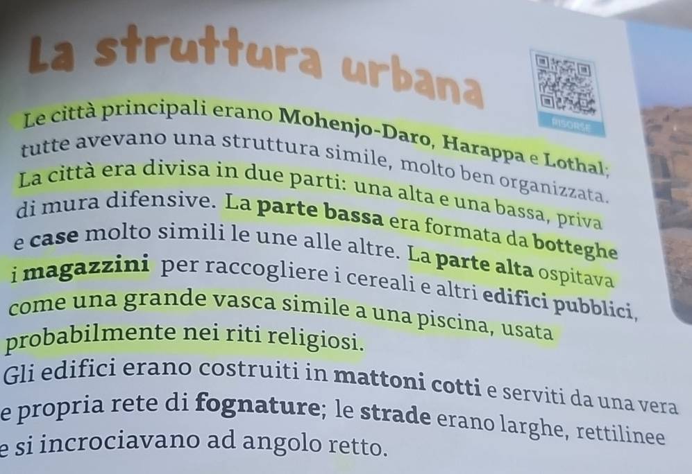 La struttura urbana 
RISORSE 
Le città principali erano Mohenjo-Daro, Harappa e Lothal; 
tutte avevano una struttura simile, molto ben organizzata 
La città era divisa in due parti: una alta e una bassa, priva 
di mura difensive. La parte bassa era formata da botteghe 
e case molto simili le une alle altre. La parte alta ospitava 
i magazzini per raccogliere i cereali e altri edifici pubblici, 
come una grande vasca simile a una piscina, usata 
probabilmente nei riti religiosi. 
Gli edifici erano costruiti in mattoni cotti e serviti da una vera 
e propria rete di fognature; le strade erano larghe, rettilinee 
e si incrociavano ad angolo retto.