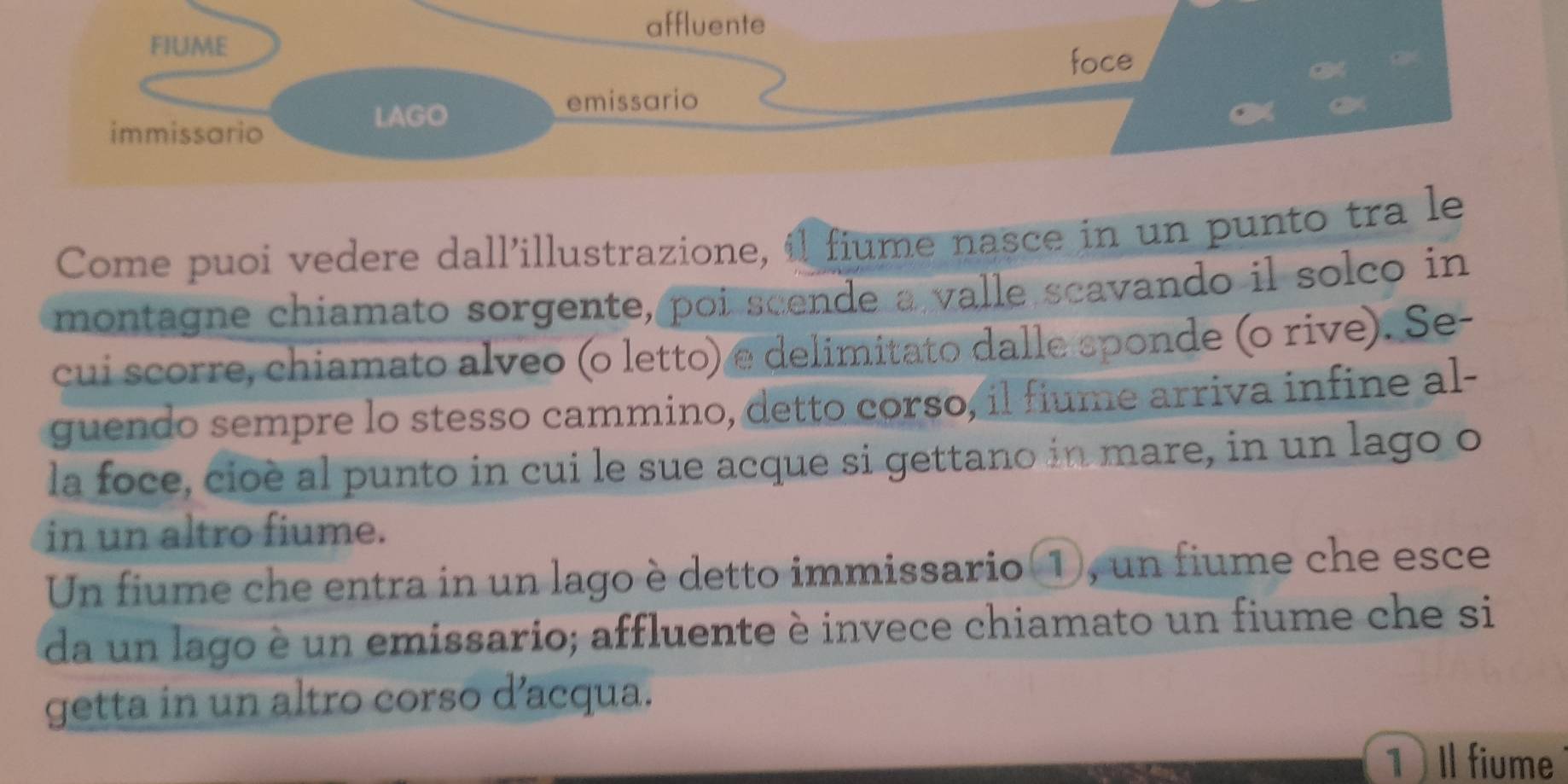 affluente 
FIUME 
foce 
emissario 
immissario 
LAGO 
Come puoi vedere dall’illustrazione, il fiume nasce in un punto tra le 
montagne chiamato sorgente, poi scende a valle scavando il solco in 
cui scorre, chiamato alveo (o letto) e delimitato dalle sponde (o rive). Se- 
guendo sempre lo stesso cammino, detto corso, il fiume arriva infine al- 
la foce, cioè al punto in cui le sue acque si gettano in mare, in un lago o 
in un altro fiume. 
Un fiume che entra in un lago è detto immissario(①, un fiume che esce 
da un lago è un emissario; affluente è invece chiamato un fiume che si 
getta in un altro corso d’acqua. 
1 I fiume