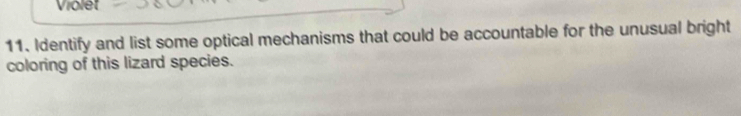 Violet 
11. Identify and list some optical mechanisms that could be accountable for the unusual bright 
coloring of this lizard species.