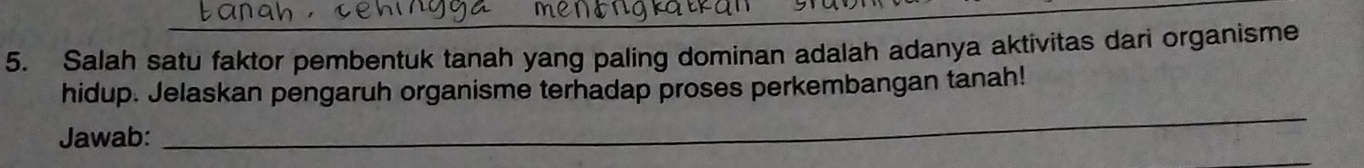 Salah satu faktor pembentuk tanah yang paling dominan adalah adanya aktivitas dari organisme 
_ 
hidup. Jelaskan pengaruh organisme terhadap proses perkembangan tanah! 
Jawab: