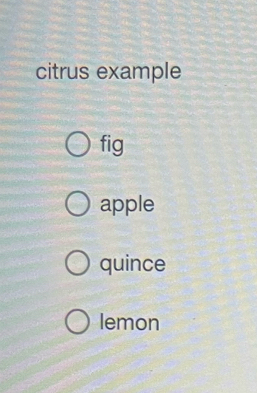 citrus example
fig
apple
quince
lemon