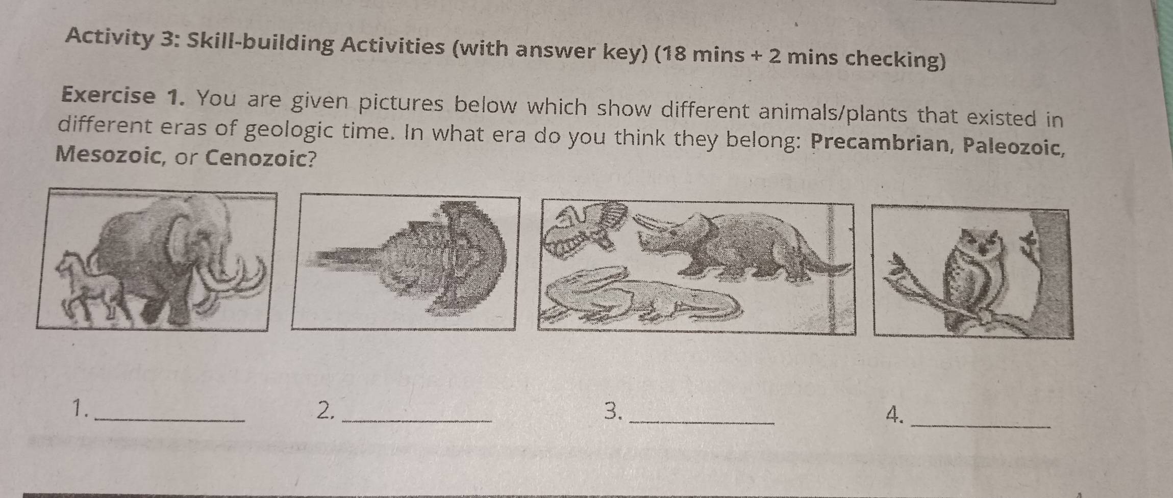 Activity 3: Skill-building Activities (with answer key) (18 mins + 2 mins checking) 
Exercise 1. You are given pictures below which show different animals/plants that existed in 
different eras of geologic time. In what era do you think they belong: Precambrian, Paleozoic, 
Mesozoic, or Cenozoic? 
1._ 
2._ 
3._ 
4._