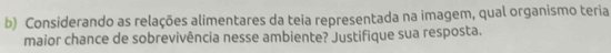 Considerando as relações alimentares da teia representada na imagem, qual organismo teria 
maior chance de sobrevivência nesse ambiente? Justifique sua resposta.