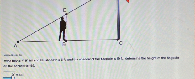 #201 4 Gytyon, inc 
If the boy is 4'9'' tall and his shadow is 6 f. and the shadow of the flagpole is 19 ft., determine the height of the flagpole 
(to the nearest tenth).
ft, tall.