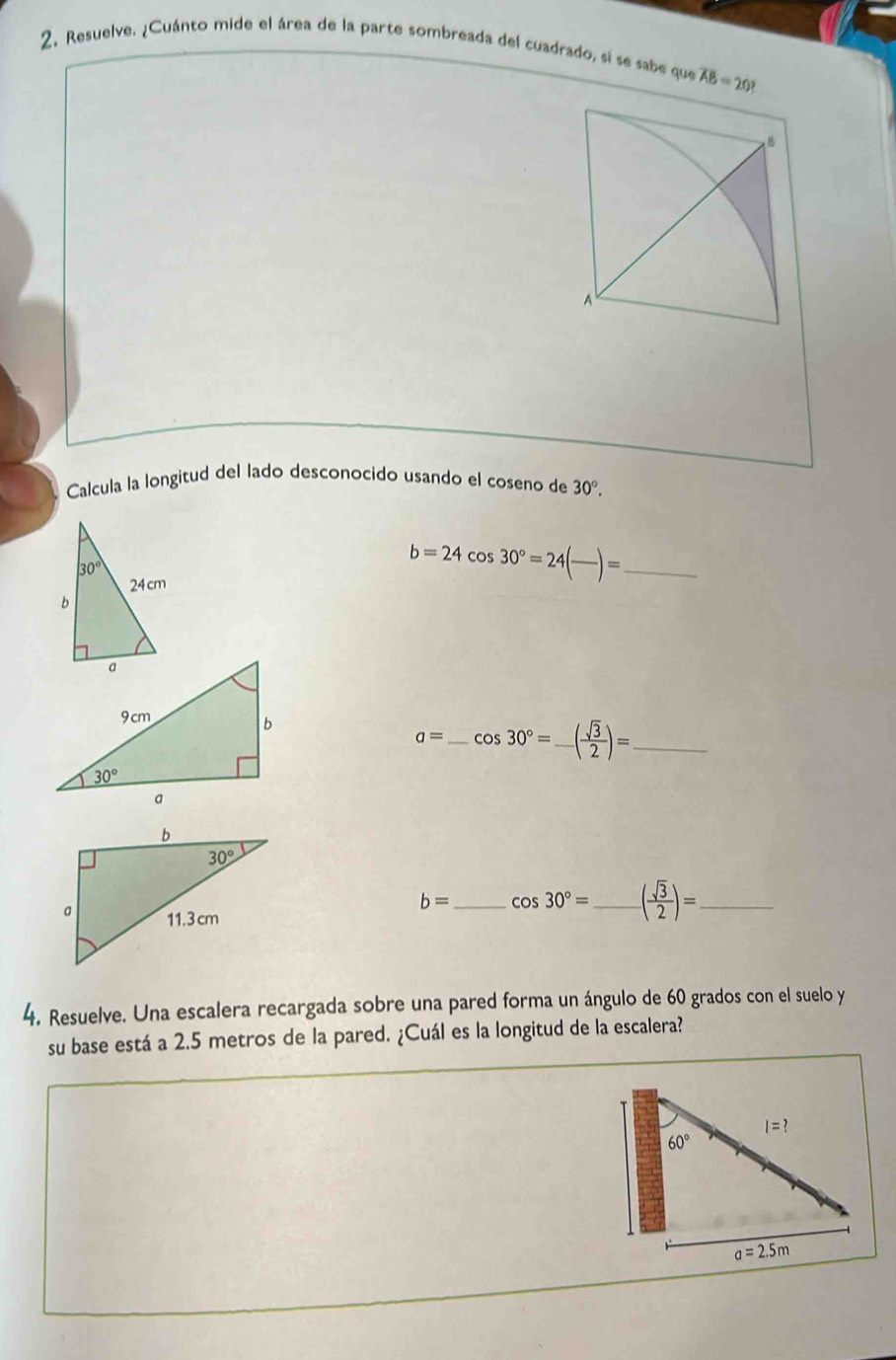 Resuelve. ¿Cuánto mide el área de la parte sombreada del cuadrado, sí se sabe que overline AB=20°
Calcula la longitud del lado desconocido usando el coseno de 30°.
b=24cos 30°=24(frac )= _
a= _ cos 30°= _ ( sqrt(3)/2 )= _
b= cos 30°= _ -( sqrt(3)/2 )= _
4. Resuelve. Una escalera recargada sobre una pared forma un ángulo de 60 grados con el suelo y
su base está a 2.5 metros de la pared. ¿Cuál es la longitud de la escalera?