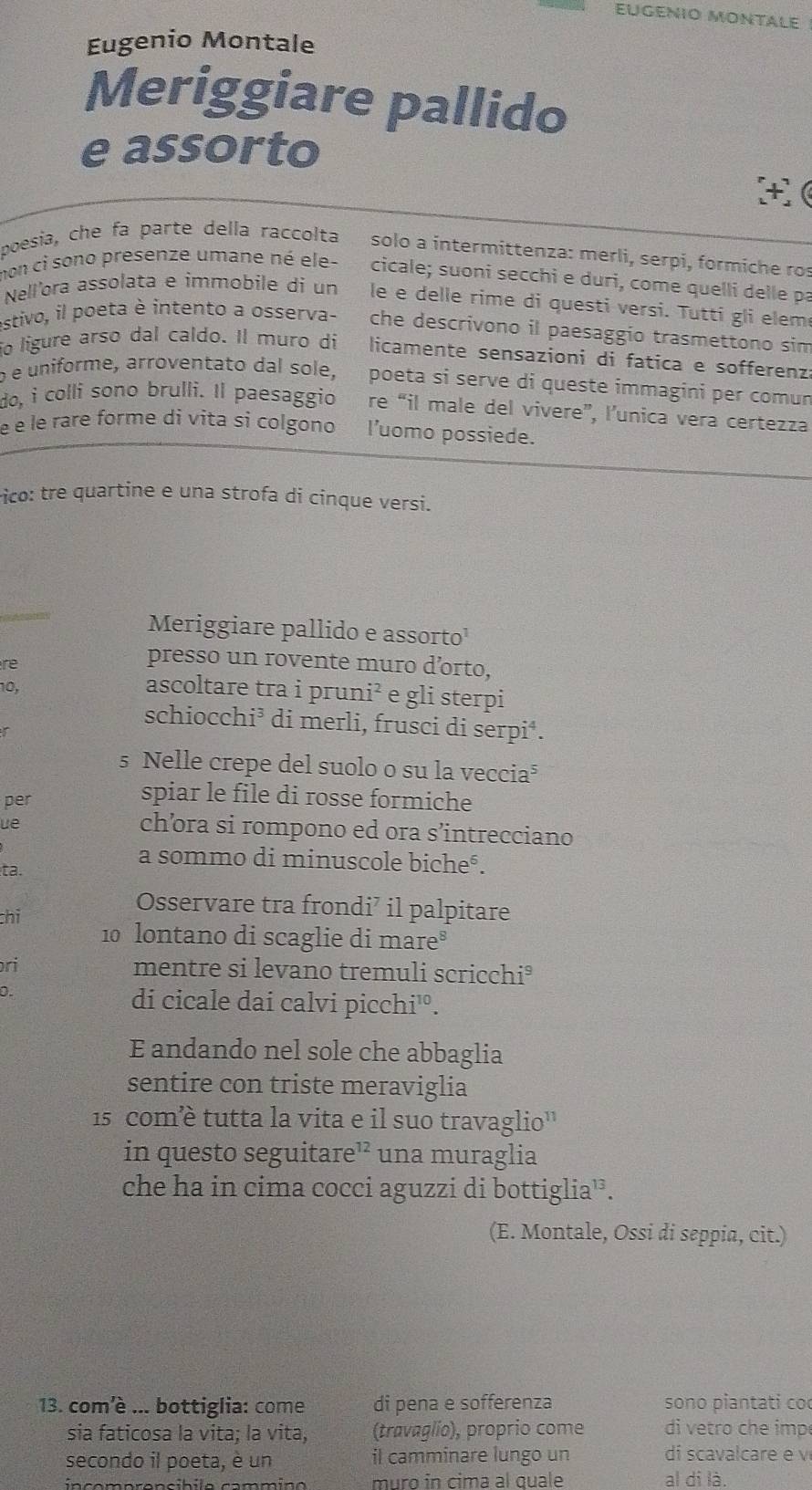 EUGENIO MONTALE
Eugenio Montale
Meriggiare pallido
e assorto
+(
poesia, che fa parte della raccolta solo a intermittenza: merli, serpi, formíche ros
mon ci sono presenze umane né ele- cicale; suoni secchi e duri, come quelli delle pa
Nell'ora assolata e immobile di un le e delle rime di questi versi. Tutti gli elem
estivo, il poeta è intento a osserva- a che descrivono il paesaggio trasmettono sim
o ligure arso dal caldo. Il muro di licamente sensazioni di fatica e sofferenzi
o e uniforme, arroventato dal sole, poeta si serve di queste immagini per comum
do, i colli sono brulli. Il paesaggio re “il male del vivere”, l’unica vera certezza
e e le rare forme di vita si colgono l’uomo possiede.
rico: tre quartine e una strofa di cinque versi.
Meriggiare pallido e assorto'
re
presso un rovente muro d’orto,
10,
ascoltare tra i pruni² e gli sterpi
schiocchi³ di merli, frusci di serpi⁴.
r
s Nelle crepe del suolo o su la veccia³
per
spiar le file di rosse formiche
ue
ch’ra si rompono ed ora s’intrecciano
a sommo di minuscole bicheé.
ta.
Osservare tra frondi’ il palpitare
chỉ 10 lontano di scaglie di mareº
ri mentre si levano tremuli scricchi³
0.
di cicale dai calvi picchi'º.
E andando nel sole che abbaglia
sentire con triste meraviglia
15 comè tutta la vita e il suo travaglio''
in questo seguitar e^(12) una muraglia
che ha in cima cocci aguzzi di bottiglia¹.
(E. Montale, Ossi di seppia, cit.)
13. com'è ... bottiglia: come di pena e sofferenza sono piantati co
sia faticosa la vita; la vita, (travaglio), proprio come  di etro ch e imp
secondo il poeta, è un il camminare lungo un di scavalcare e v
muro in cima al quale al di là.