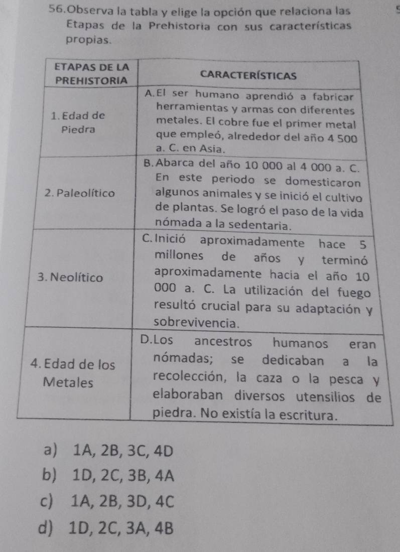 Observa la tabla y elige la opción que relaciona las
Etapas de la Prehistoria con sus características
propias.
e
a) 1A, 2B, 3C, 4D
b) 1D, 2C, 3B, 4A
c) 1A, 2B, 3D, 4C
d) 1D, 2C, 3A, 4B