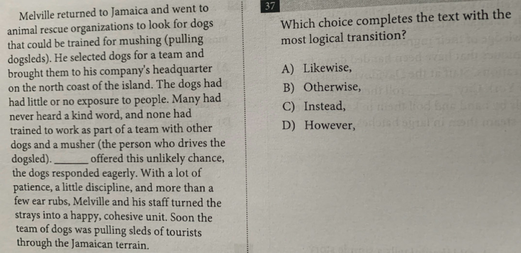 Melville returned to Jamaica and went to 37
animal rescue organizations to look for dogs
Which choice completes the text with the
that could be trained for mushing (pulling
most logical transition?
dogsleds). He selected dogs for a team and
brought them to his company's headquarter A) Likewise,
on the north coast of the island. The dogs had B) Otherwise,
had little or no exposure to people. Many had
C) Instead,
never heard a kind word, and none had
trained to work as part of a team with other
D) However,
dogs and a musher (the person who drives the
dogsled). _offered this unlikely chance,
the dogs responded eagerly. With a lot of
patience, a little discipline, and more than a
few ear rubs, Melville and his staff turned the
strays into a happy, cohesive unit. Soon the
team of dogs was pulling sleds of tourists
through the Jamaican terrain.