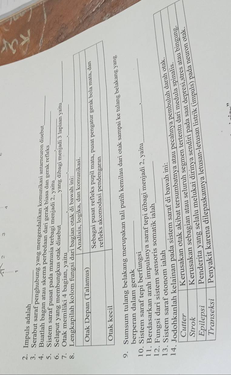 2 3 4
_ 
2. Impuls adalah 
3. Serabut saraf penghubung yang mengendalikan komunikasi antarneuron disebut 
_ 
4. Buatlah bagan atau skema perbedaan dari gerak biasa dan gerak refleks_ 
5. Sistem saraf pusat pada manusia terbagi menjadi 2, yaitu 
6. Selaput yang membungkus otak disebut_ yang dibagi menjadi 3 lapisan yaitu_ 
_ 
7. Otak memiliki 4 bagian, yaitu_ 
_ 
` 
9. Sumsum tulang belakang merupakan tali putih kemilau dari otak sampai ke tulang bel 
berperan dalam gerak_ 
10. Sistem saraf tepi berfungsi_ 
11. Brah impulsnya saraf tepi dibagi menjadi 2, yaitu 
_