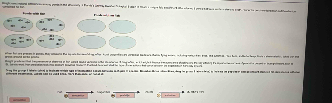 contained no fish.
Knight used natural differences among ponds in the University of Florida's Ordway-Swisher Biological Station to create a unique field experiment. She selected 8 ponds that were similar in size and depth. Four of the ponds contained fish, but the other four
When fish are present in ponds, they consume the aquatic larvae of dragonflies. Adult dragonflies are voracious predators of other flying insects, including varius flies, bees, and butterflies. Flies, bees, and butterflies polinate a shrub called St. John's wort that
grows around all the ponds
Knight predicted that the presence or absence of fish would cause variation in the abundance of dragonflies, which might influence the abundance of pollinators, thereby affecting the reproductive success of plants that depend on those pollinators, such as
St. John's wort. Her prediction took into account previous research that had demonstrated the type of interactions that occur between the organisms in her study system
Drag the group 1 labels (pink) to indicate which type of interaction occurs between each pair of species. Based on those interactions, drag the group 2 labels (blue) to indicate the population changes Knight predicted for each species in the two
different treatments. Labels can be used once, more than once, or not at all
Fish Dragonflies Insects St. John's wort
competition predat]on mutualism
competition