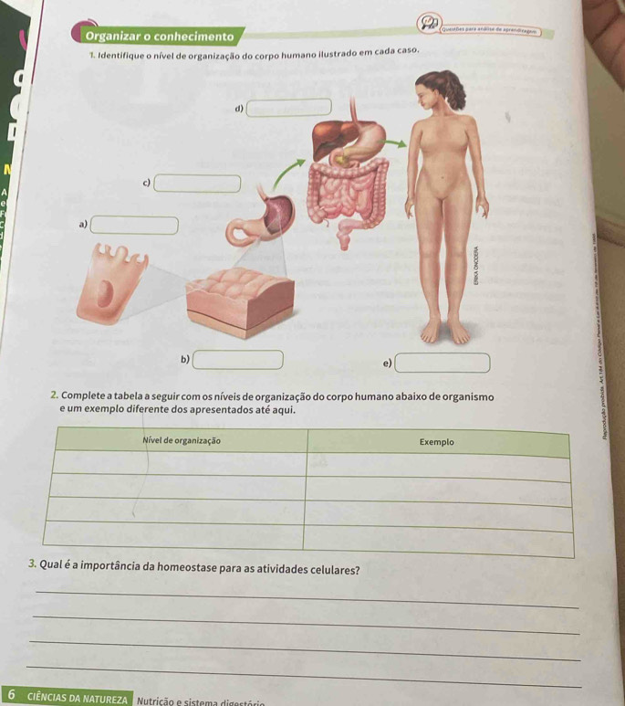 Organizar o conhecimento u= dões para ardoa d= = 
1. Identifique o nível de organização do corpo humano ilustrado em cada caso. 
b) 
e) 
2. Complete a tabela a seguir com os níveis de organização do corpo humano abaixo de organismo 
e um exemplo diferente dos apresentados até aqui. 
Nível de organização Exemplo 
3. Qual é a importância da homeostase para as atividades celulares? 
_ 
_ 
_ 
_
6 ciências da natureza Nutrição e sistema digesté