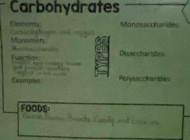 Carbohydrates 
Elements Monosaccharides 
en Afroer. and 
Monomers 
opaccharades 
Disaccharides: 
Function: 
a 
. 
Examples: 
Polysaccharides 
FOODS: