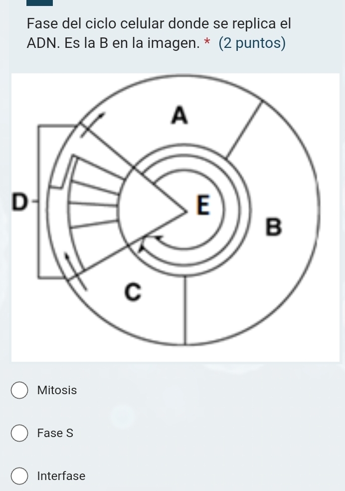 Fase del ciclo celular donde se replica el
ADN. Es la B en la imagen. * (2 puntos)
Mitosis
Fase S
Interfase