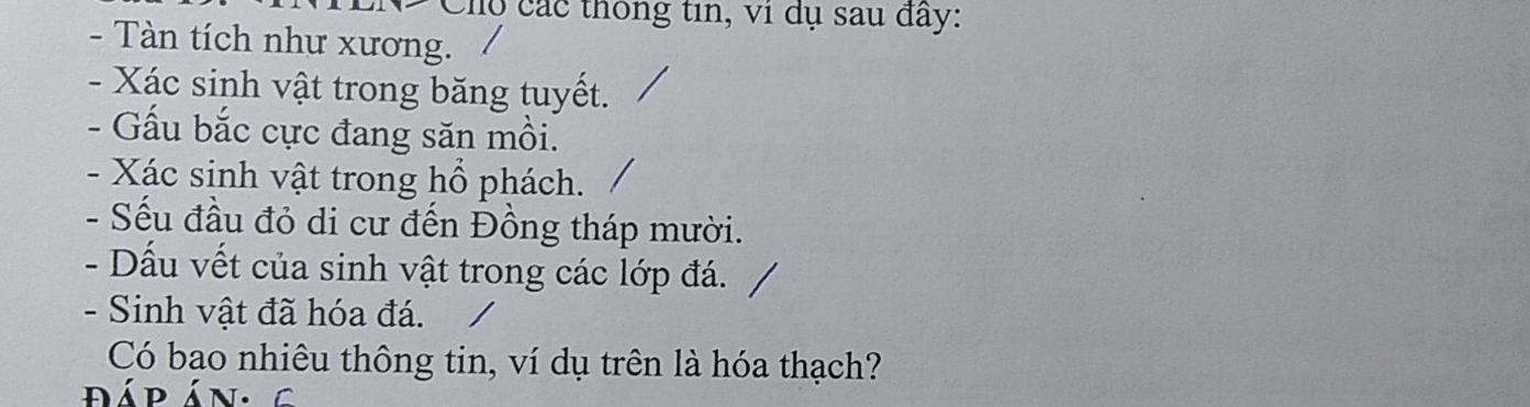 Cho các thông tin, vi dụ sau đây: 
- Tàn tích như xương. 
- Xác sinh vật trong băng tuyết. 
- Gấu bắc cực đang săn mồi. 
- Xác sinh vật trong hồ phách. 
- Sếu đầu đỏ di cư đến Đồng tháp mười. 
- Dấu vết của sinh vật trong các lớp đá. 
- Sinh vật đã hóa đá. 
Có bao nhiêu thông tin, ví dụ trên là hóa thạch? 
dáp án. C