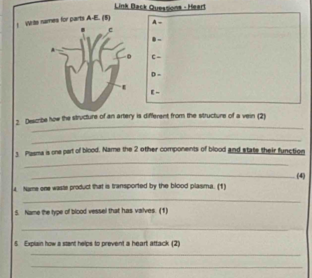 Link Back Questions - Hear 
! Write names for parts A-E. (5) A- 
B - 
C - 
D - 
E - 
_ 
2. Describe how the structure of an artery is different from the structure of a vein (2) 
_ 
3. Plasma is one part of blood. Name the 2 other components of blood and state their function 
_ 
_(4) 
4. Name one waste product that is transported by the blood plasma. (1) 
_ 
5. Name the type of blood vessel that has valves. (1) 
_ 
_ 
6. Explain how a stent helps to prevent a heart attack (2) 
_ 
_