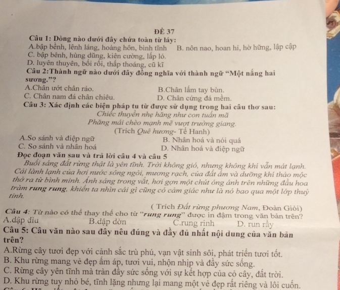 ĐÈ 37
*  Câu 1: Dòng nào dưới đây chứa toàn từ láy:
A.bập bềnh, lênh láng, hoàng hôn, bình tĩnh B. nôn nao, hoan hi, hờ hững, lập cập
C. bập bênh, hùng dũng, kiên cường, lập ló.
D. luyên thuyên, bối rối, thấp thoáng, cũ kĩ
Câu 2:Thành ngữ nào dưới đây đồng nghĩa với thành ngữ “Một nắng hai
sương.”?
A.Chân ướt chân ráo. B.Chân lấm tay bùn.
C. Chân nam đá chân chiêu. D. Chân cứng đá mềm.
Câu 3: Xác định các biện pháp tu từ được sử dụng trong hai câu thơ sau:
Chiếc thuyển nhẹ hăng như con tuần mã
Phăng mái chèo mạnh mẽ vượt trường giang.
(Trích Quê hương- Tế Hanh)
A.So sánh và điệp ngữ B. Nhân hoá và nói quá
C. So sánh và nhân hoá D. Nhân hoá và điệp ngữ
Đọc đoạn văn sau và trã lời câu 4 và câu 5
Buồi sáng đất rừng thật là yên tĩnh. Trời không gió, nhưng không khi vẫn mát lạnh.
Cái lành lạnh của hơi nước sông ngòi, mương rạch, của đất ẩm và dưỡng khí thảo mộc
thờ ra từ bình minh. Ánh sáng trong vắt, hơi gợn một chút óng ánh trên những đầu hoa
tràm rung rung, khiến ta nhìn cái gì cũng có cảm giác như là nó bao qua một lớp thuỷ
tinh.
( Trích Đất rừng phương Nam, Đoàn Giỏi)
Cầu 4: Từ nào có thể thay thể cho từ “rung rung” được in đậm trong văn bản trên?
A.dập đìu B.dập dờn C.rung rinh D. run rấy
Câu 5: Câu văn nào sau đây nêu đúng và đầy đủ nhất nội dung của văn bản
trên?
A.Rừng cây tươi đẹp với cảnh sắc trù phú, vạn vật sinh sôi, phát triển tươi tốt.
B. Khu rừng mang vẻ đẹp ấm áp, tươi vụi, nhộn nhịp và đầy sức sống.
C. Rừng cây yên tĩnh mà tràn đầy sức sống với sự kết hợp của cỏ cây, đất trời.
D. Khu rừng tuy nhỏ bé, tĩnh lặng nhưng lại mang một vẻ đẹp rất riêng và lôi cuốn.