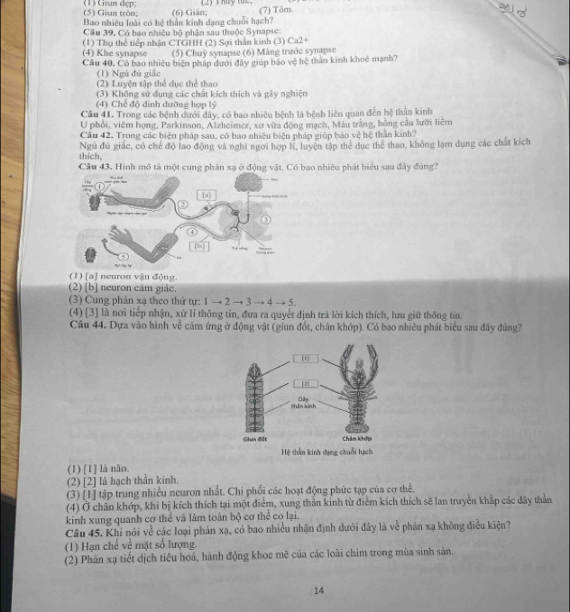 (5) Giun tròn; (1) Giun dẹp; (6) Gián; (7) Tôm.
Bao nhiêu loài có hệ thần kinh dạng chuỗi hạch?
Cầu 39. Có hao nhiêu bộ phân sau thuộc Synapse
(1) Thụ thể tiếp nhận CTGHH (2) Sợi thần kinh (3) Ca2+
(4) Khe synapse (5) Chuỷ synapse (6) Màng trước synapse
Câu 40, Có bao nhiêu biện pháp dưới đây giúp bão vệ hệ thần kinh khoê mạnh?
(1) Ngũ đú giắc
(2) Luyện tập thể dục thể thao
(3) Không sử dụng các chất kích thích và gây nghiện
(4) Chế độ dinh dưỡng hợp lý
Cầu 41. Trong các bệnh dưới đây, có bao nhiêu bệnh là bệnh liên quan đến hệ thần kinh
U phối, viêm họng, Parkinson, Alzheimer, xơ vữa động mạch, Máu trắng, hồng cầu lưỡi liêm
Cầu 42. Trong các biện pháp sau, có bao nhiêu biện pháp giúp bảo vệ hệ thần kinh?
thích, Ngủ đủ giác, có chế độ lao động và nghi ngơi hợp lí, luyện tập thể dục thể thao, không lạm dụng các chất kích
Câu 43. Hình mô tả một cung phản xạ ở động vật. Có bao nhiêu phát biểu sau đây đủng?
(1) [a] neuron vận động.
(2) [b] neuron cám giác.
(3) Cung phân xạ theo thứ tự: 1 → 2 → 3 → 4 → 5.
(4) [3] là nơi tiếp nhận, xử lí thông tin, đưa ra quyết định trả lời kích thích, lưu giữ thông tin.
Câu 44. Dựa vào hình về cảm ứng ở động vật (giun đốt, chân khớp). Có bao nhiêu phát biểu sau đây đúng?
(1) [1] là não.
(2) [2] là hạch thần kinh.
(3) [1] tập trung nhiều neuron nhất. Chi phối các hoạt động phức tạp của cơ thể.
(4) Ở chân khớp, khi bị kích thích tại một điểm, xung thằn kinh từ điểm kích thích sẽ lan truyền khắp các dây thần
kinh xung quanh cơ thể và làm toàn bộ cơ thể co lại.
Câu 45. Khi nói về các loại phản xạ, có bao nhiều nhận định dưới đây là về phản xạ không điều kiện?
(1) Hạn chế về mặt số lượng.
(2) Phản xạ tiết dịch tiêu hoá, hành động khoe mẽ của các loài chim trong mùa sinh sản.
14