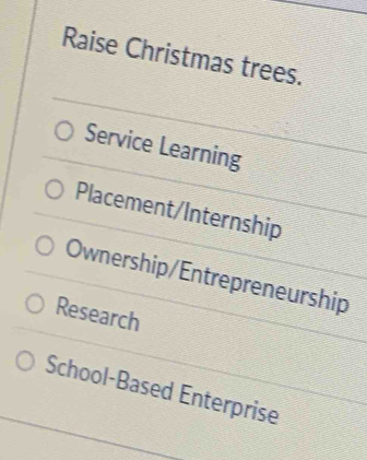 Raise Christmas trees.
Service Learning
Placement/Internship
Ownership/Entrepreneurship
Research
School-Based Enterprise