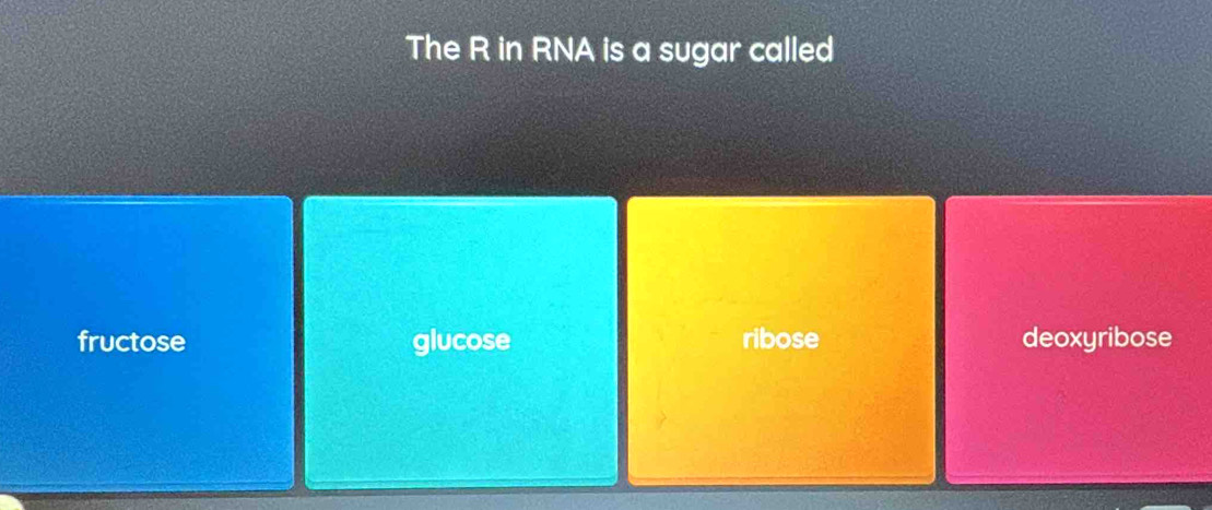 The R in RNA is a sugar called
fructose glucose ribose deoxyribose