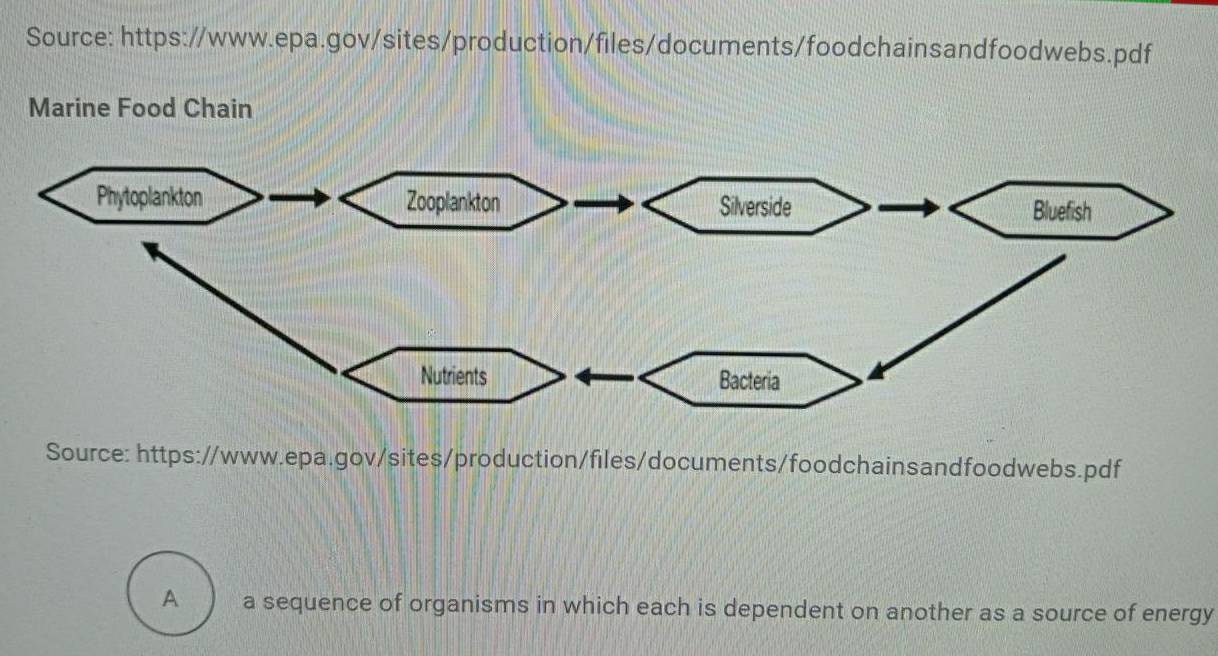 Source: https://www.epa.gov/sites/production/files/documents/foodchainsandfoodwebs.pdf 
Marine Food Chain 
Source: https://www.epa.gov/sites/production/files/documents/foodchainsandfoodwebs.pdf 
A a sequence of organisms in which each is dependent on another as a source of energy