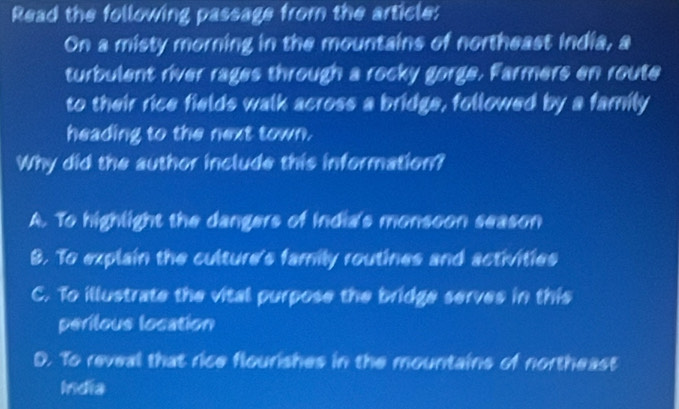 Read the following passage from the article:
On a misty morning in the mountains of northeast India, a
turbulent river rages through a rocky gorge. Farmers en route
to their rice fields walk across a bridge, followed by a family
heading to the next town.
Why did the author include this information?
A. To highlight the dangers of india's monsoon season
B. To explain the culture's family routines and activities
C. To illustrate the vital purpose the bridge serves in this
perilous location
D. To reveal that rice flourishes in the mountains of northeast
India