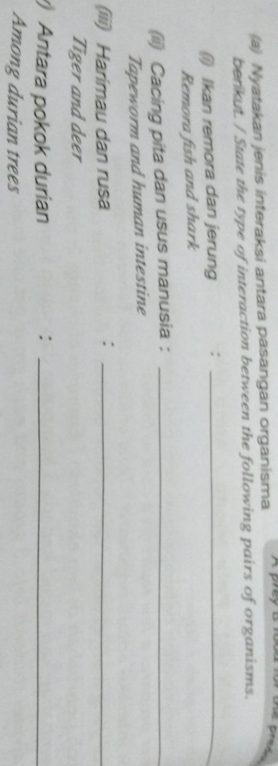 Nyatakan jenis interaksi antara pasangan organisma 
A prey a roa for the preda 
berikut. / State the type of interaction between the following pairs of organisms. 
(1) Ikan remora dan jerung ;_ 
Remora fish and shark 
(ii) Cacing pita dan usus manusia :_ 
Tapeworm and human intestine 
(iii) Harimau dan rusa_ 
: 
Tiger and deer 
Antara pokok durian :_ 
Among durian trees