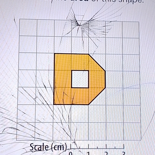 Scale (cm)
1 7 2