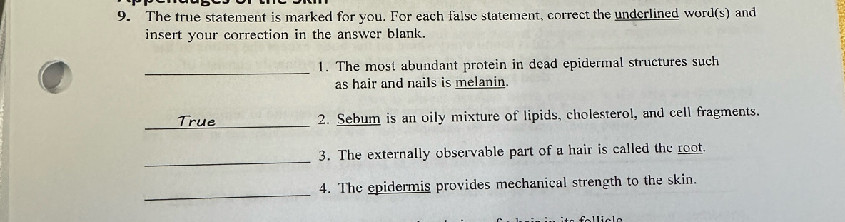 The true statement is marked for you. For each false statement, correct the underlined word(s) and 
insert your correction in the answer blank. 
_ 
1. The most abundant protein in dead epidermal structures such 
as hair and nails is melanin. 
_True 2. Sebum is an oily mixture of lipids, cholesterol, and cell fragments. 
_ 
3. The externally observable part of a hair is called the root. 
_ 
4. The epidermis provides mechanical strength to the skin.