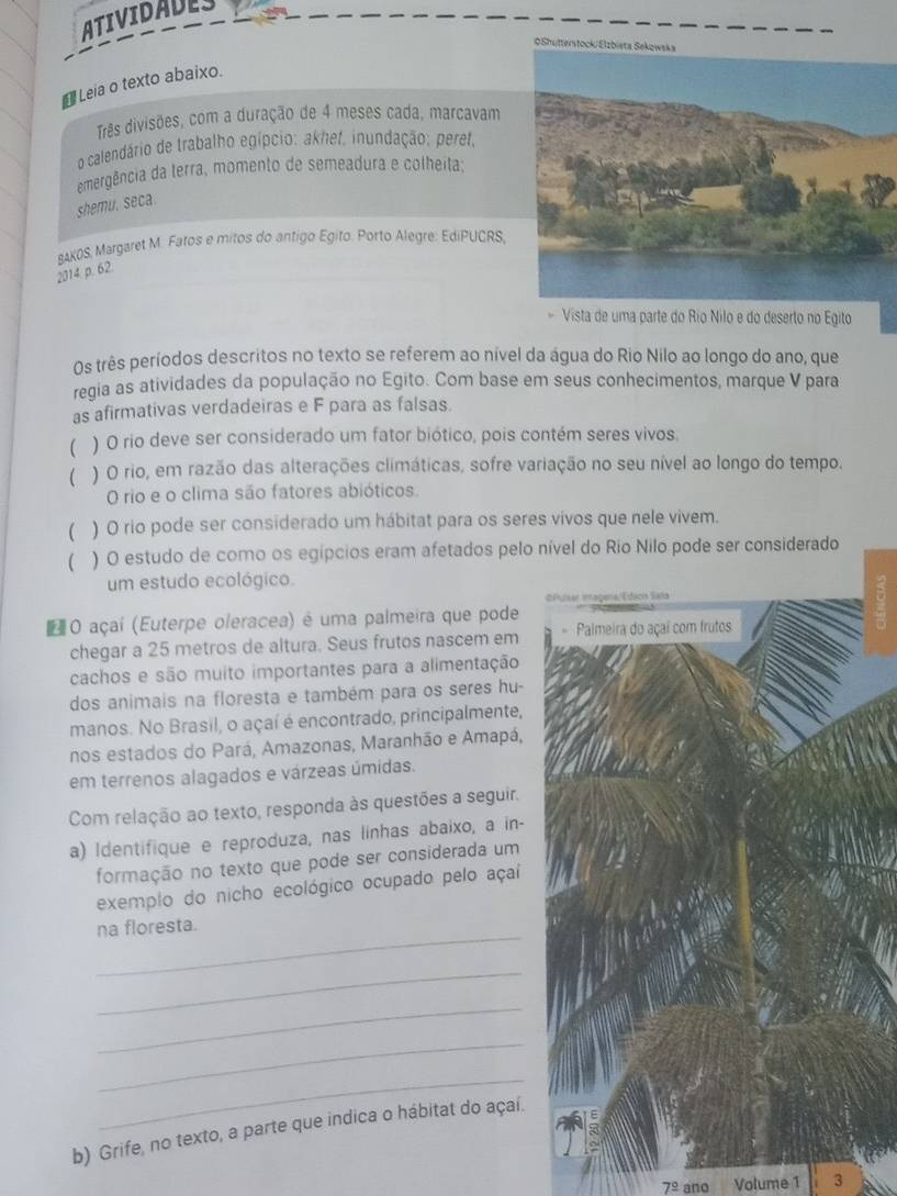 ATIVIDADES
* Leia o texto abaixo.
Três divisões, com a duração de 4 meses cada, marcavam
o calendário de trabalho egípcio: akhef, inundação; peret,
emergência da terra, momento de semeadura e colheita;
shemu. seca.
SAKOS, Margaret M. Fatos e mitos do antigo Egito. Porto Alegre: EdiPUCRS,
2014 p. 62
- Vista de uma parte do Río Nilo e do deserto no Egito
Os três períodos descritos no texto se referem ao nível da água do Rio Nilo ao longo do ano, que
regia as atividades da população no Egito. Com base em seus conhecimentos, marque V para
as afirmativas verdadeiras e F para as falsas.
) O rio deve ser considerado um fator biótico, pois contém seres vivos.
 ) O rio, em razão das alterações climáticas, sofre variação no seu nível ao longo do tempo.
O rio e o clima são fatores abióticos.
 ) O rio pode ser considerado um hábitat para os seres vivos que nele vivem.
) O estudo de como os egípcios eram afetados pelo nível do Rio Nilo pode ser considerado
um estudo ecológico.
E O açaí (Euterpe oleracea) é uma palmeira que pode
chegar a 25 metros de altura. Seus frutos nascem em 
cachos e são muito importantes para a alimentação
dos animais na floresta e também para os seres hu-
manos. No Brasil, o açaí é encontrado, principalmente,
nos estados do Pará, Amazonas, Maranhão e Amapá,
em terrenos alagados e várzeas úmidas.
Com relação ao texto, responda às questões a seguir.
a) Identifique e reproduza, nas linhas abaixo, a in-
formação no texto que pode ser considerada um
exemplo do nicho ecológico ocupado pelo açaí
_
na floresta.
_
_
_
_
b) Grife, no texto, a parte que indica o hábitat do açaí.
ano Volume 1 3