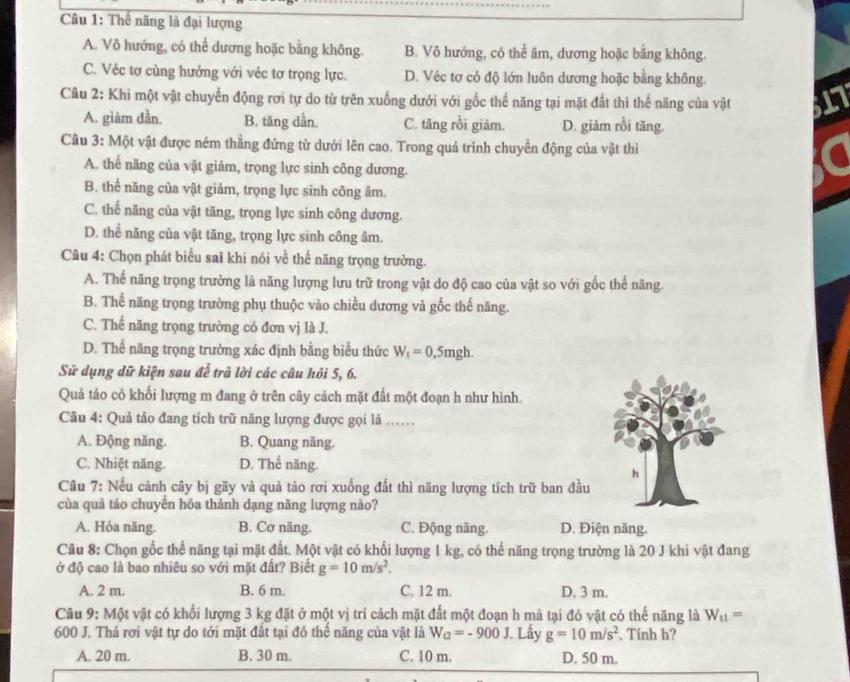 âu 1: Thể năng là đại lượng
A. Vô hướng, có thể dương hoặc bằng không. B. Vô hướng, có thể âm, dương hoặc bằng không.
C. Véc tơ cùng hướng với véc tơ trọng lực. D. Véc tơ có độ lớn luôn dương hoặc bằng không.
Câu 2: Khi một vật chuyển động rơi tự do từ trên xuống dưới với gốc thế năng tại mặt đất thì thế năng của vật
A. giàm dần. B. tăng dần. C. tăng rồi giảm. D. giảm rồi tăng.
Cầu 3: Một vật được ném thẳng đứng từ dưới lên cao. Trong quả trình chuyển động của vật thì
A. thế năng của vật giảm, trọng lực sinh công dương.
B. thể năng của vật giảm, trọng lực sinh công âm.
C. thế năng của vật tăng, trọng lực sinh công dương.
D. thể năng của vật tăng, trọng lực sinh công âm.
Câu 4: Chọn phát biểu sai khi nói về thế năng trọng trường.
A. Thế năng trọng trường là năng lượng lưu trữ trong vật do độ cao của vật so với gốc thế năng.
B. Thể năng trọng trường phụ thuộc vào chiều dương và gốc thế năng.
C. Thế năng trọng trường có đơn vị là J.
D. Thể năng trọng trường xác định bằng biểu thức W_t=0,5 mgh.
Sử dụng dữ kiện sau để trả lời các câu hỏi 5, 6.
Quả táo có khối lượng m đang ở trên cây cách mặt đất một đoạn h như hình.
Câu 4: Quả tảo đang tích trữ năng lượng được gọi là …
A. Động năng. B. Quang năng.
C. Nhiệt năng. D. Thế năng.
Câu 7: Nếu cảnh cây bị gãy và quả tảo rơi xuống đất thì năng lượng tích trữ ban đầu
của quả táo chuyển hóa thành dạng năng lượng nào?
A. Hóa năng. B. Cơ năng. C. Động năng. D. Điện năng.
Câu 8: Chọn gốc thể năng tại mặt đất. Một vật có khối lượng 1 kg, có thể năng trọng trường là 20 J khi vật đang
ở độ cao là bao nhiêu so với mặt đất? Biết g=10m/s^2.
A. 2 m. B. 6 m. C. 12 m. D. 3 m.
Câu 9: Một vật có khối lượng 3 kg đặt ở một vị trí cách mặt đất một đoạn h mà tại đó vật có thế năng là W_t1=
600 J. Thả rơi vật tự do tới mặt đất tại đó thế năng của vật là W_t2=-900J Lấy g=10m/s^2. Tính h?
A. 20 m. B. 30 m. C. 10 m. D. 50 m.